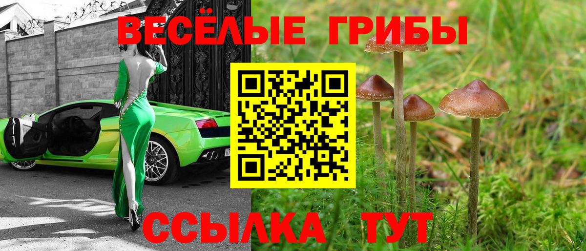 Псилоцибиновые грибы мицелий Полысаево