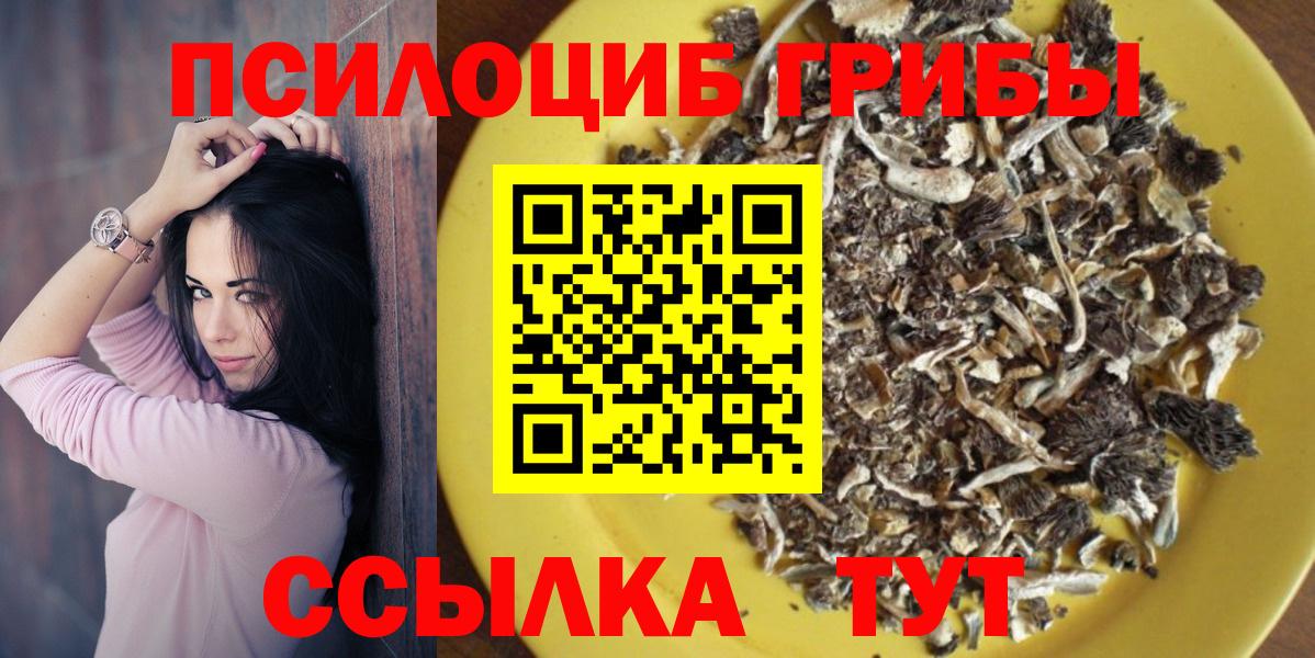 Галлюциногенные грибы мицелий  Псилоцибиновые грибы Psilocybine cubensis  Полысаево  Вход с VPN 
